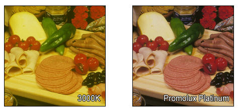 compare Promolux food lighting